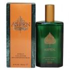 Aspen for Men By Aspen - 3.4 Oz. EDT